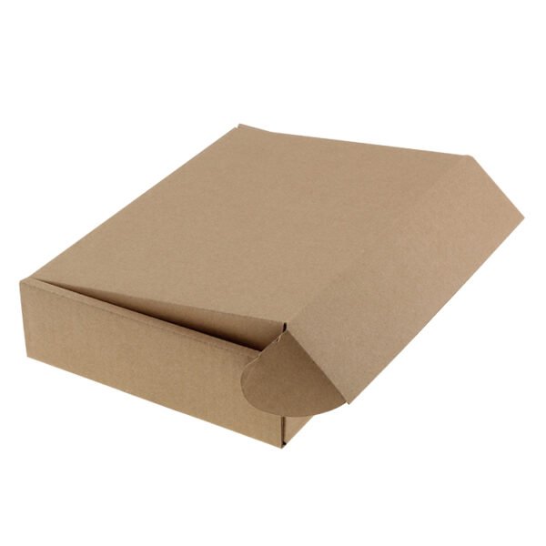 Kraft Corrugated Box - 图片 2